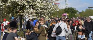 Das Baumblütenfest in Werder (Havel) startet dieses Jahr am 27. April. 