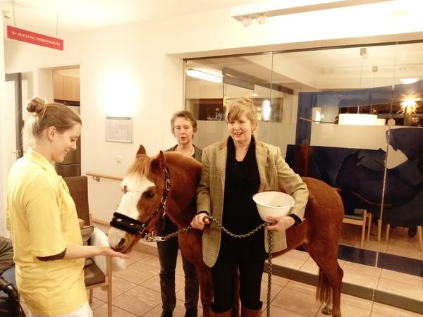 Freitag Nachmittag im Diakonie-Hospiz Wannsee: Die Ponystute 13 kommt zu Besuch. Es geht um die positive Stimmung, die das Tier verbreitet, sagt Angelika Behm (Bildmitte), Leiterin des Hospizes