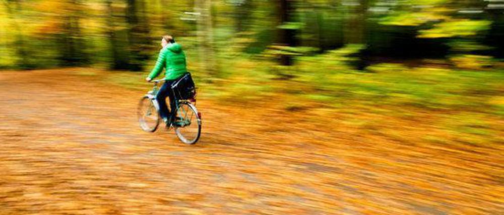Schön anzusehen ist das Bunt auf den Straßen ja. Aber das Herbstlaub macht das Fahrrad fahren etwas kniffliger.