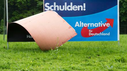 Ein abgerissenes AfD-Plakat in Hannover (Symbolbild)