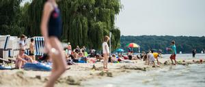 In den Ferien war in Berlin einiges los - nicht nur am See. 