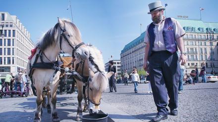 Jetzt geht's ins Abgeordnetenhaus. Die Online-Petition zum Pferdekutschenverbot wird an Verkehrssenator Geisel übergeben.