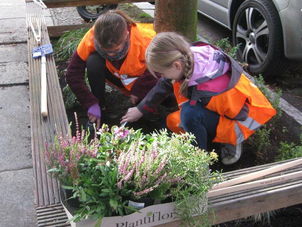 Kinder der Stechlin-Grundschule in Schöneberg bepflanzen die Umgebung ihrer Schule.