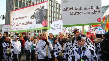 Am Samstag wollen wieder Tausende Menschen auf die Straße gehen, um für eine nachhaltigere und gerechtere Landwirtschaft zu protestieren (Archivbild).