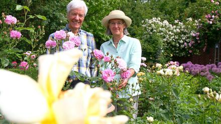 Freunde der Rosen. Rosemary und Rainer Bischoff ziehen 40 Sorten der Königin unter den Blumen in ihrem Zehlendorfer Garten.