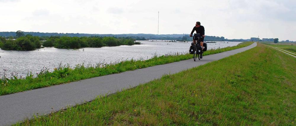Der Elberadweg erhielt auf dem neuen Deich auch gleich eine frische Asphaltschicht. Radfahrer und Wanderer werden auf Tafeln über das Projekt informiert. 