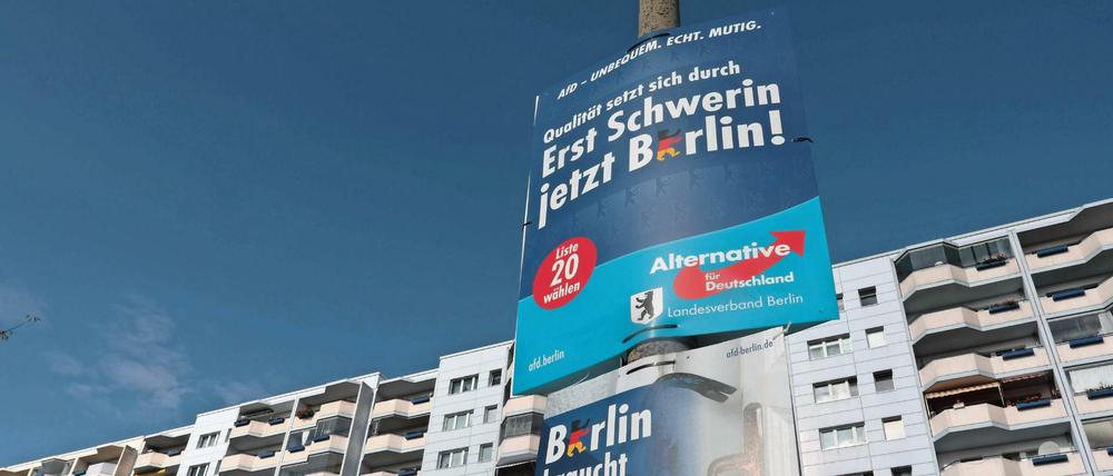 Die Zusammensetzung der Stadträte in Marzahn-Hellersdorf nimmt nach der Nominierung des AfD-Kandidaten Thomas Braun langsam Gestalt an.