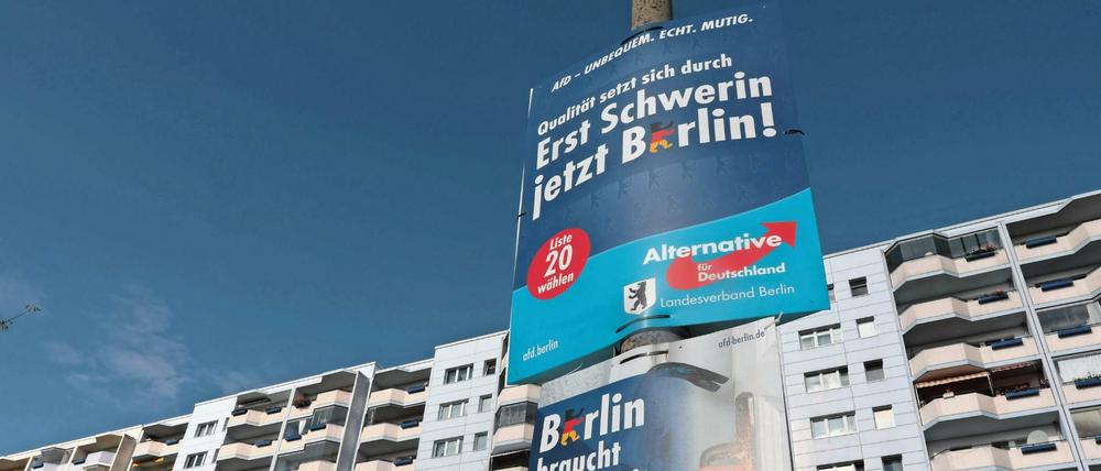 Die AfD Marzahn-Hellersdorf hat die Nominierung ihres Kandidaten für den Stadtratsposten öffentlich gemacht. 