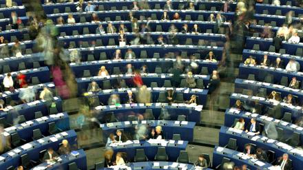 Elf Berliner Politiker sitzen im EU-Parlament. 
