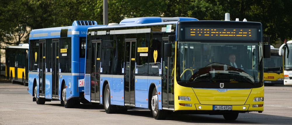 BVG im XXL-Format. Der neue "Buszug" wird präsentiert.