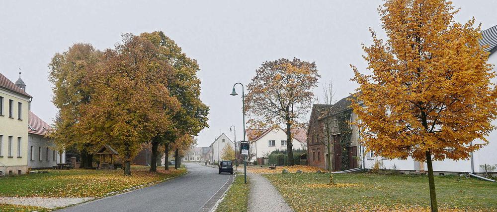 Blick nach Kaltenborn (Gemeinde Niedergörsdorf/Brandenburg).