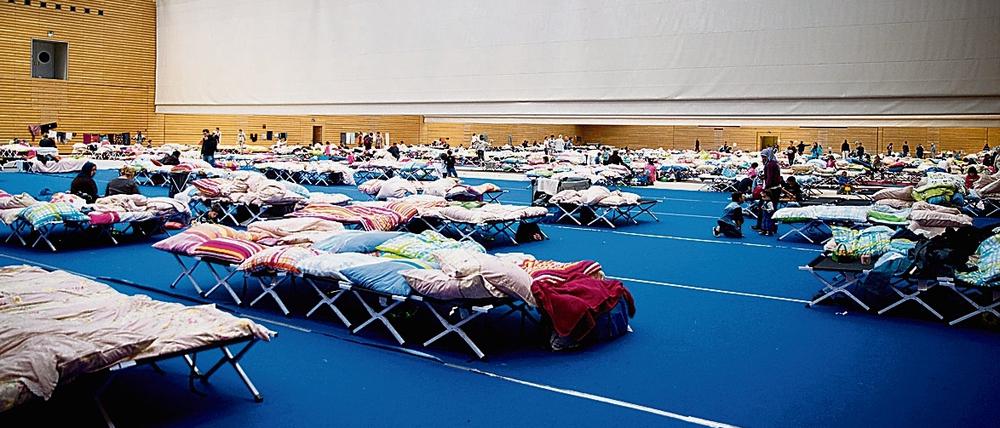 Zahlreiche Betten stehen in einer großen Sporthalle am Olympiapark im Stadtteil Charlottenburg für Flüchtlinge bereit.
