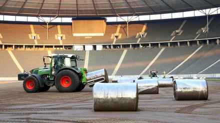 Der Grasteppich wird im Olympiastadion Berlin verlegt. Die Soden samt Gras, Wurzeln und Erde sind 38 Millimeter dick.