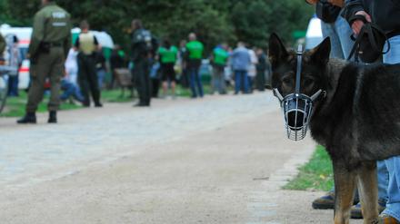 Lampen statt Hundestaffel: Im Görlitzer Park soll Licht künftig für mehr Sicherheit sorgen.