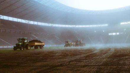 Ein irrer Anblick. Ole Nowakowski fotografiert das vernebelte Olympiastadion am Dienstagmorgen. Die Gärtner sind längst im Einsatz.
