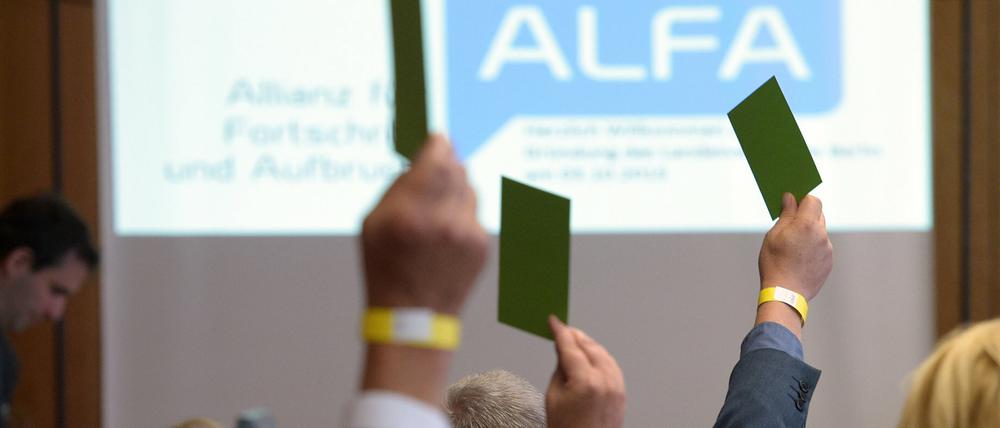 Stimmkarten werden am Sonnabend beim Gründungsparteitag des Landesverbandes Berlin der Partei Allianz für Fortschritt und Aufbruch (ALFA) hoch gehalten. 