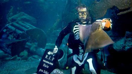Sieht gut aus: Martin Hansel füttert Haie in Halloween-Aufmachung.