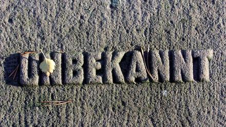 Ein Stein, ein Wort. Der Friedhof in Halbe in Brandenburg.