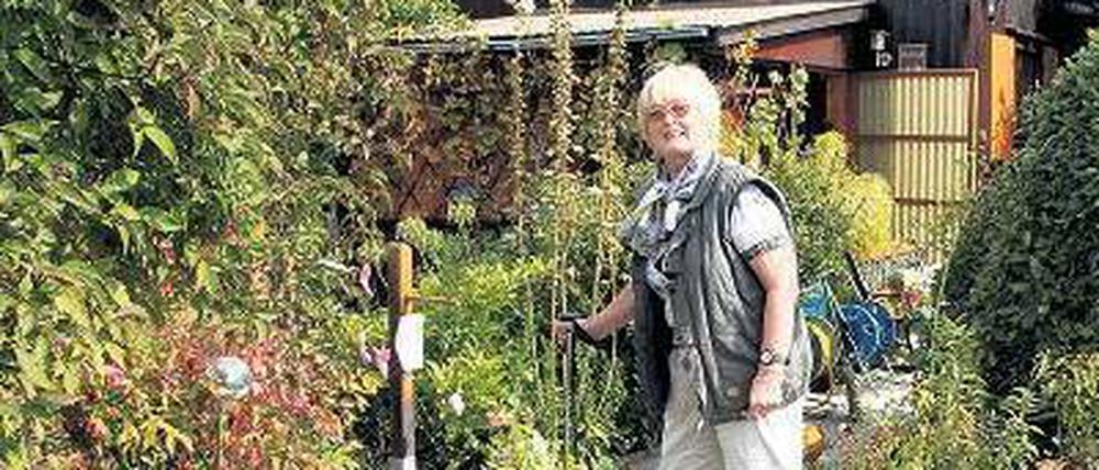 Grün ist die Hoffnung. Gartenbesitzerin Udula Wieloch will sich noch auf viele Ernten auf ihrer Parzelle freuen. 