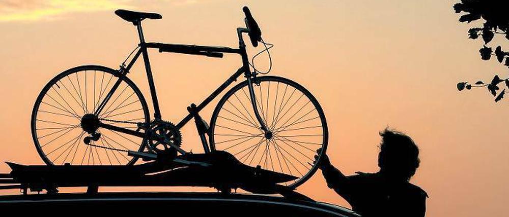 Aufsatteln. Der Radtourismus in Brandenburg läuft rund. Allein auf einem Fernradweg wurde im vergangenen Jahr 15 800 Radfahrer gezählt. Und die meisten von ihnen loben den Zustand der Wege. Doch viele Routen benötigen in absehbarer Zeit eine Sanierung. Für die wird noch nach Geld gesucht. Foto: Patrick Pleul/dpa