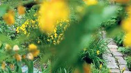 Es grünt so gelb in der Ackerstraße. Die Besucher am Tag der Offenen Gärten haben die Auswahl zwischen 100 Anlagen. Foto: Doris Spiekermann-Klaas