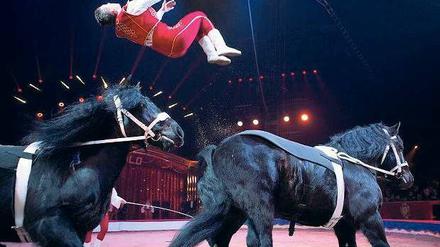 Mut am Gaul. Damit der Rückwärtssalto von einem Pferd zum anderen klappt, müssen beide Tiere konsequent im gleichen Tempo laufen. Hier ein Schnappschuss von der erfolgreichen Show der Berolina-Truppe beim Zirkusfestival 2014 in Monte Carlo. 