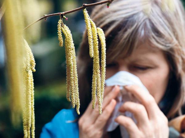 Augenjucken und verschnupfte Nasen. Für Allergiker bringt der Sommer nicht nur Gutes.