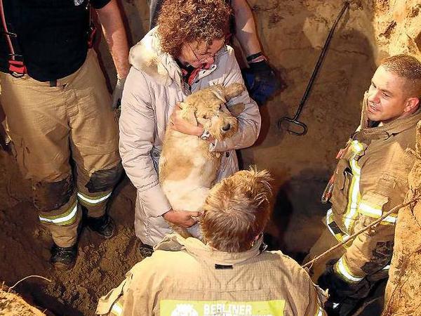Da bist du ja! Almut Böttcher schließt im November 2012 ihren Hund Skipper in die Arme. Das Tier war in einem Dachsbau verschwunden und konnte nicht allein heraus. 23 Feuerwehrleute gruben stundenlang und metertief, bis sie Skipper fanden. 