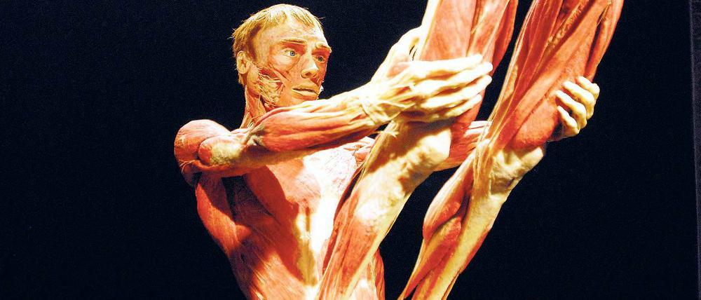 Die Körperwelten-Ausstellungen des "Plastinators" Gunther von Hagens werden immer wieder kontrovers diskutiert.