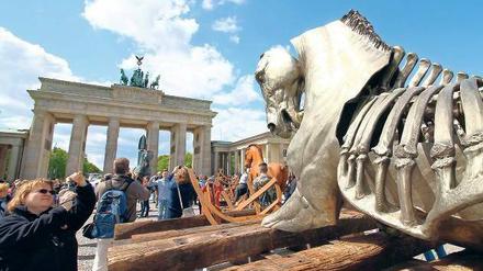 Marmor, Stein und Eisen. Mit seinen Skulpturen geschundener Pferde will der Künstler Gustavo Aceves vor dem Brandenburger Tor an die Qualen der Flüchtlinge im Mittelmeer erinnern. 