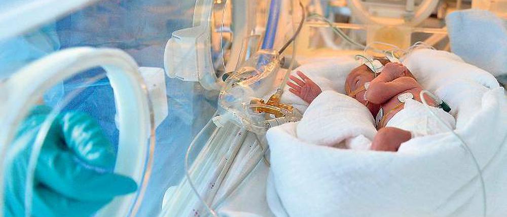 Besonders gefährdet. Das Foto von 2013 zeigt ein zu früh geborenes Baby in der Neonatologie der Charité im Inkubator. Derzeit sind dort vier Neugeborene von einem Serratien-Ausbruch betroffen.  Foto: Britta Pedersen/dpa