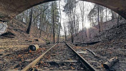 Die Friedhofsbahn. Die alten Eisenbahnrelikte im Wald bei Dreilinden sind auch im Jahr 2016 noch immer zu sehen.