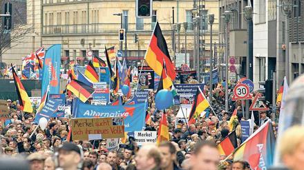 Volk und völkisches Denken. Viele Anhänger der Alternative für Deutschland (AFD), hier eine Demonstration in Berlin, sind für eine harte Flüchtlingspolitik. 