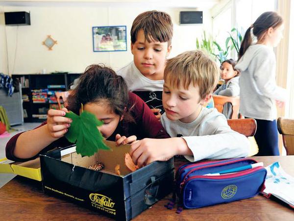 Echte Waldschätze: Hier sortieren Kinder der Werbellinsee-Grundschule gesammelte Blätter und Baumfrüchte für ihr Wald-Kunstprojekt. 