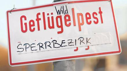 Skandal im Sperrbezirk. Wie hier in Friedrichshain warnen die Behörden seit dem Wochenende vor der Ausbreitung der Vogelgrippe. 