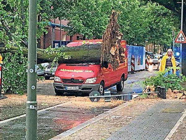In Kreuzberg erfassten die kräftigen Windböen einen großen Baum, der auf einen Transporter fiel. Offenbar wurde niemand verletzt.