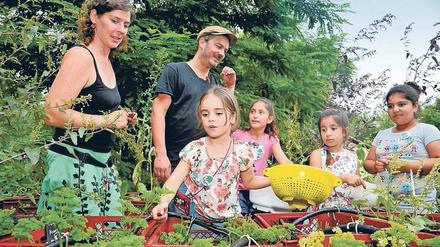 Grün für die Flüchtlingskinder. In Marzahn haben Ehrenamtliche in einer Unterkunft einen Hofgarten angelegt. 