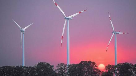 Der Idylle bei Sieversdorf (Oder-Spree) wie auf dem Foto trauen viele Windkraftgegner nicht. 