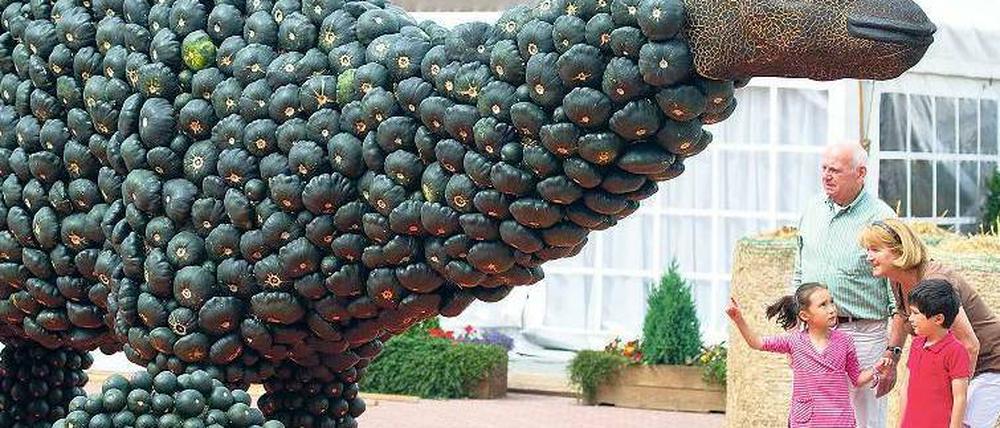 Süßes oder Saurier? Aus 28 000 Kürbissen wurden in Klaistow zehn große Dinos gestaltet. Foto: dapd/Heimann