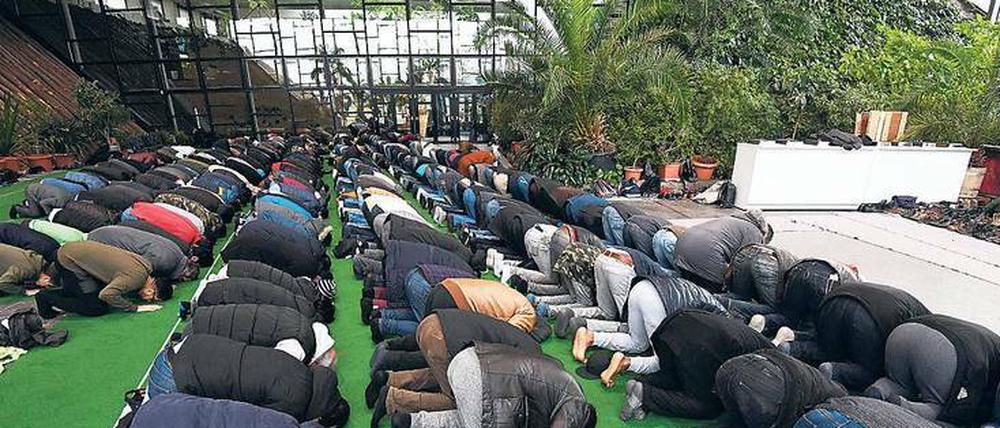 Weil die bestehende Potsdamer Moschee aus allen Nähten platzt, finden derzeit Freitagsgebete in der Orangerie der Biosphäre statt. 
