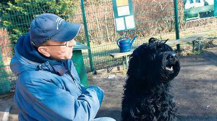 Aus! Hundetrainer könnten Klaus Wowereit zum Rücktritt bewegen. Foto: dpa