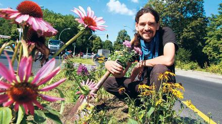 Gartenguerilla. Petrus Akkordeon aus Lichterfelde pflanzt seit Jahren Blumen auf der Verkehrsinsel an der Königsberger Straße. 