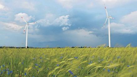 Mit einer neuen Marketingkampagne will die Landesregierung das Image Brandenburgs aufpolieren. Unter anderem soll mit der Windkraft gepunktet werden. 