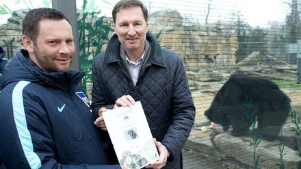 Für den Fußball-Bundesligisten Hertha BSC erhält Trainer Pal Dardai (li.) von Zoo-Direktor Andreas Knieriem eine Patenschafts-Urkunde für den Lippenbär Rajath.