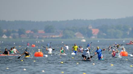 Sie trainieren schon für Olympia. Auf dem Beetzsee in Brandenburg/Havel findet seit Freitag die Kanu-EM statt. Hier könnten Olympische Wettkämpfe ausgetragen werden.