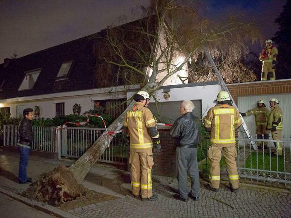 Mehr als 1000 Feuerwehrleute sind wegen Sturm "Niklas" in Berlin im Einsatz, hier holen sie einen entwurzelten Baum vom Dach eines Hauses in Lichterfelde.