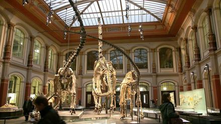 Die Dinosaurierhalle im Berliner Naturkundemuseum.