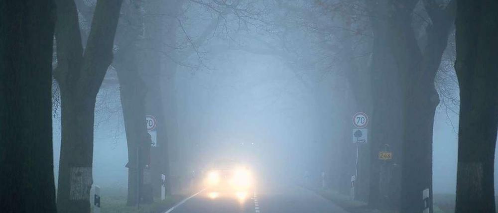 Schau an, ein Auto. Vermutlich. Überall in der Region gibt es starken Nebel.