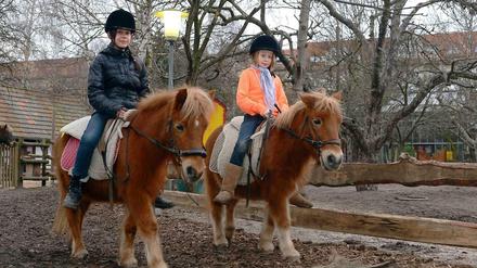 Berliner Landabenteuer. Auf dem Ufa-Kinderbauernhof in Tempelhof können Mädchen und Jungen auch mal im Galopp die Ponys Flocke, Desta, Buddy und Fred reiten.