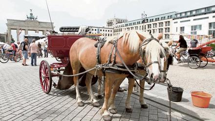Pferdedroschken auf dem Pariser Platz am Brandenburger Tor.